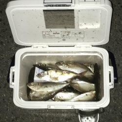 風強かったけど楽しかった^ ^