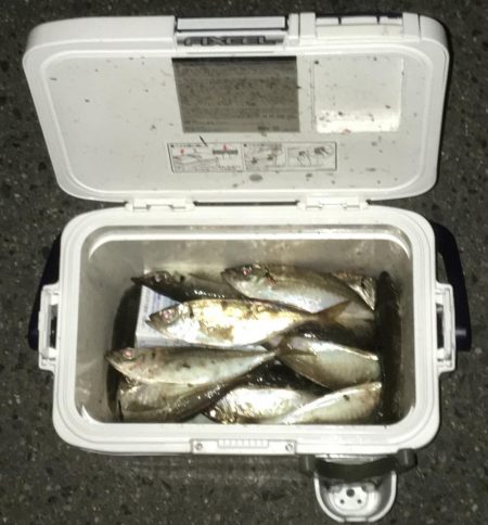 風強かったけど楽しかった^ ^