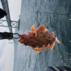 オクトパッシング