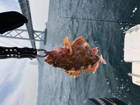 オクトパッシング