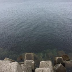 初の穴釣りで‼︎‼︎