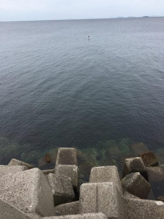 初の穴釣りで‼︎‼︎