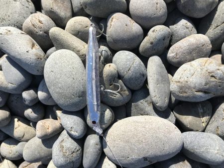 シイラゲット！