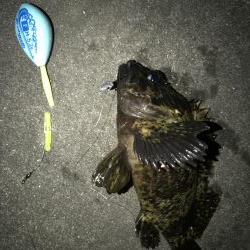 連休大潮初日なので