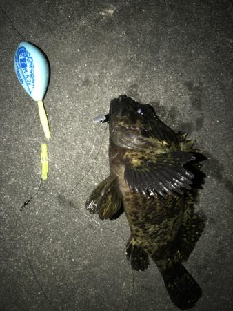 連休大潮初日なので