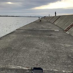 武庫川一文字 サゴシ・大サバ