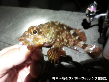 メバル激渋だが期待を裏切らないガッシー