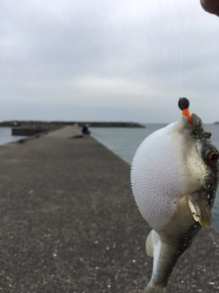 ☆念願のキロアップ!!