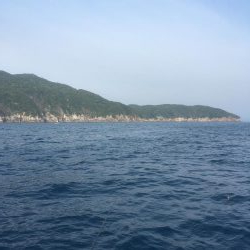 牟岐沖でイサキ、シイラ