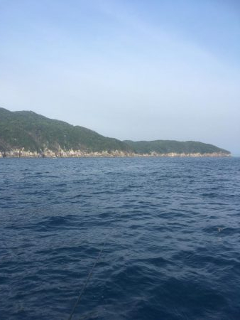 牟岐沖でイサキ、シイラ