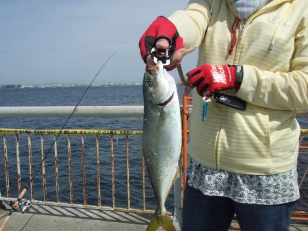 メタルジグでツバスゲーム