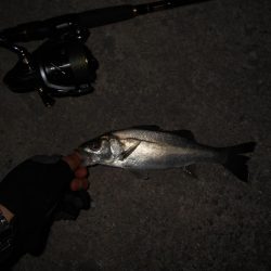 バチパターンでヒット