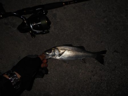 バチパターンでヒット