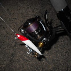 北風が吹けばテトラ際が狙い目？