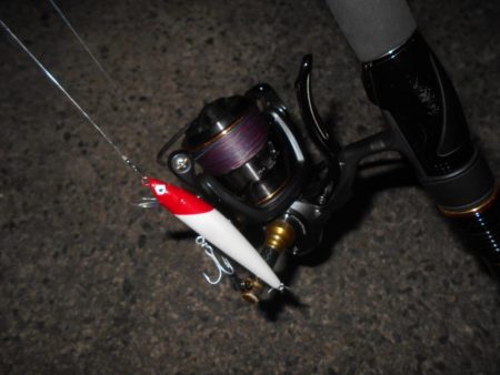 北風が吹けばテトラ際が狙い目？