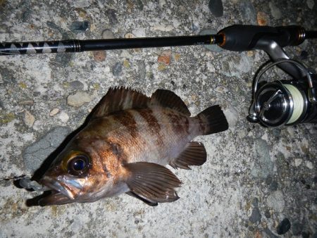 チビチビやりました