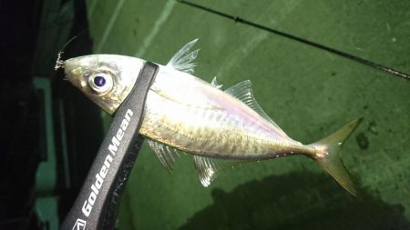 舞洲ライトゲーム