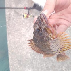 リベンジ達成！