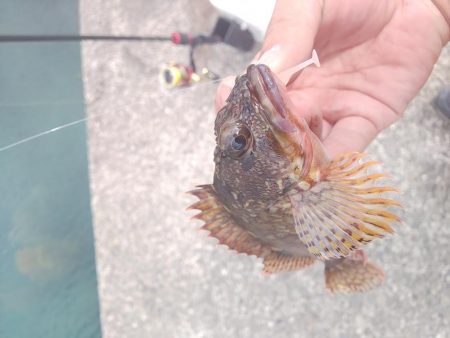 リベンジ達成！