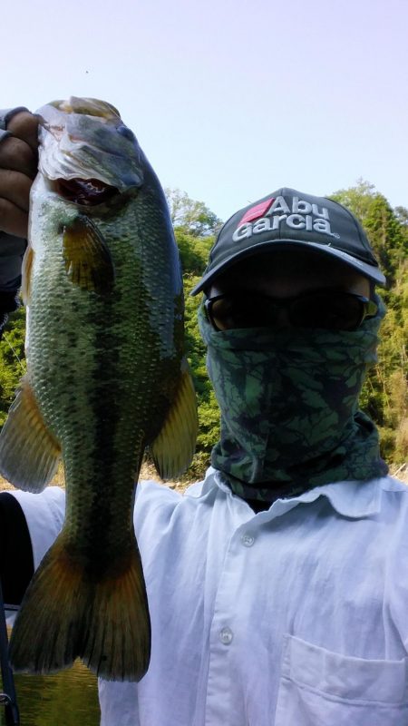 サイズが伸びない。