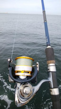 やっと今年初のシーバス