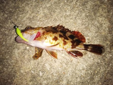 まだまだメバリング