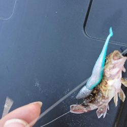 ベイティ2.3インチ