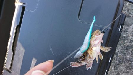 ベイティ2.3インチ