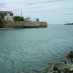 【新門司】根魚調査