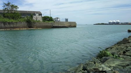 【新門司】根魚調査