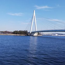 令和になって初フィッシュ