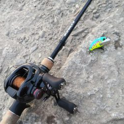 令和初の淀川バス