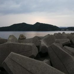 春烏賊サイズ…