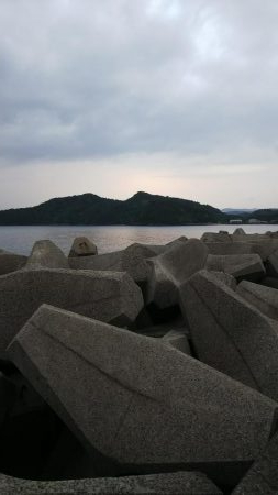 春烏賊サイズ…