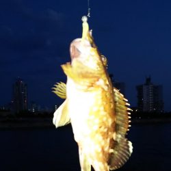 小さいのを数だけは・・・