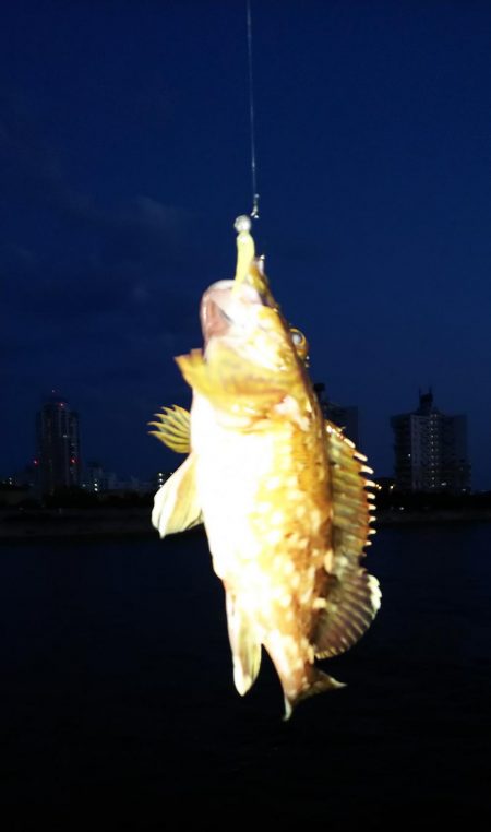 小さいのを数だけは・・・