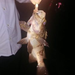 ぶっこみでハネ