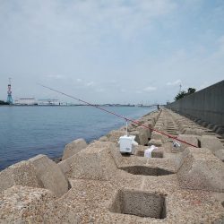 東二見水道のキス情報