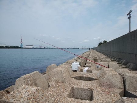 東二見水道のキス情報