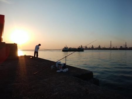 播磨新島のキス情報