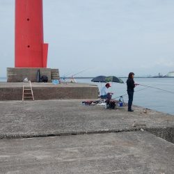 播磨新島のキス情報