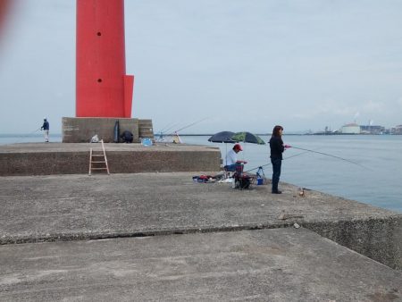 播磨新島のキス情報