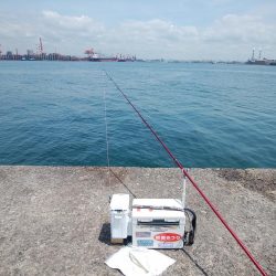 播磨新島のキス情報