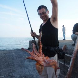 播磨新島のキス情報