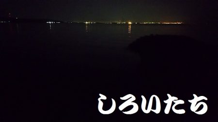本日も出動、アジとガシラ狙い。