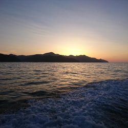 チャーター釣行