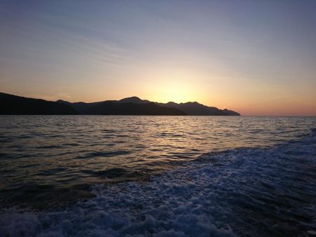 チャーター釣行