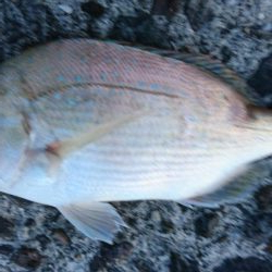 キスを求めて黄昏サーフ旅