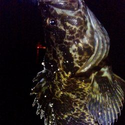 ちびっこばかりかと思ったら尺上のタケノコ