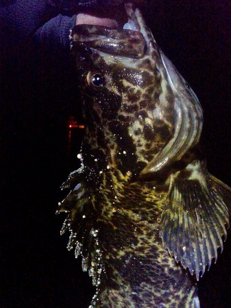 ちびっこばかりかと思ったら尺上のタケノコ